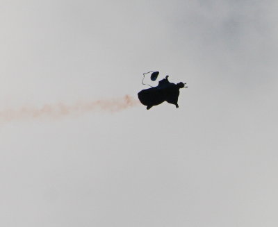 104.JPG