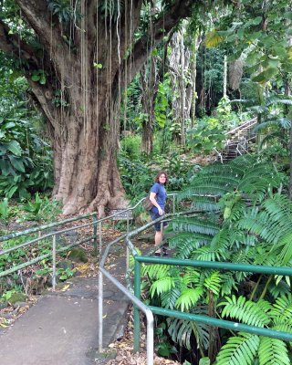A walk at Rainbow Falls.