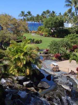 Fairmont ocean view.