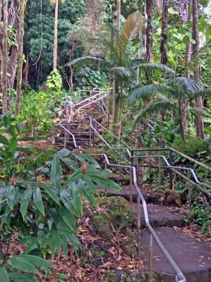Stairs at Rainbow Falls.