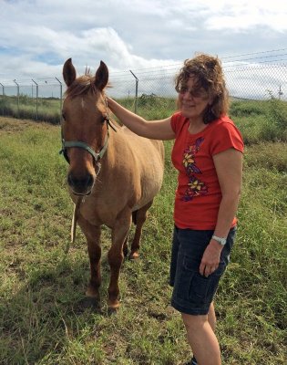 Pony by the road near Barking Sands Beach.