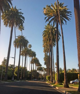 Cruisin' Beverly Hills.