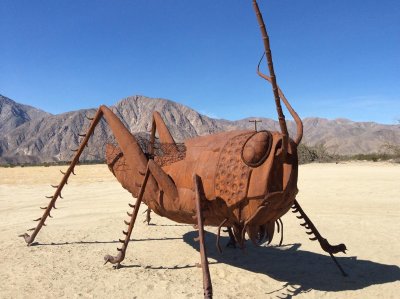 Grasshopper by Ricardo Arroyo Breceda in Borrego Springs, CA.