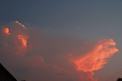 IMG_1802 Pink