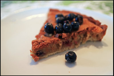 CR2_1802 Blueberry tart.