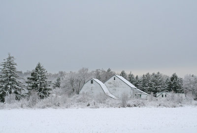 IMG_3778 White out