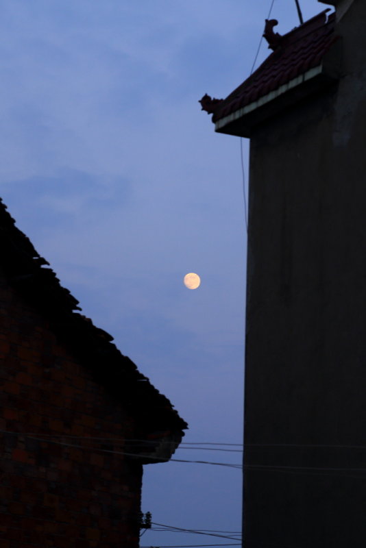 IMG_6656.JPG