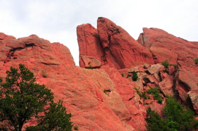 CRW_7243.JPG