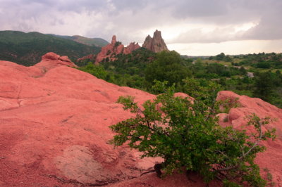 CRW_7313.JPG