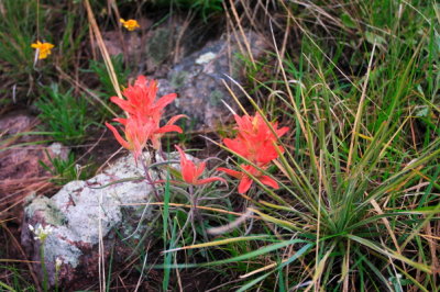 CRW_7325.JPG