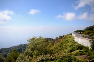 DSC_0008.jpg