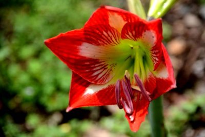 DSC_0046.jpg