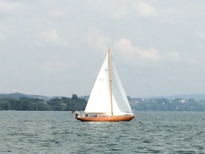 IMG_5193.jpg