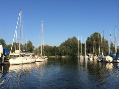 IMG_5302.jpg
