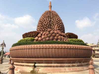 Kampot Durian Roundabout