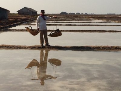 Kampot Salt Field