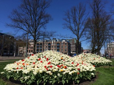 Van Randwijk Plantsoen