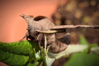 2013-05-31_4103.jpg