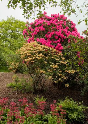 2013-06-05_4220.jpg