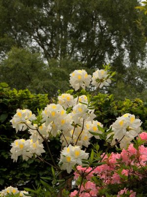 2013-06-05_4234.jpg