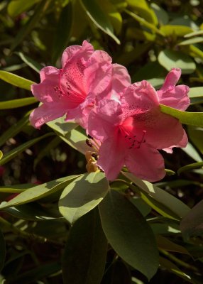 2013-06-07_4261.jpg