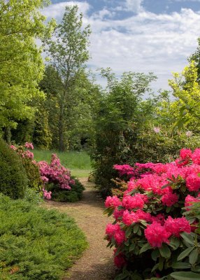 2013-06-07_4264.jpg