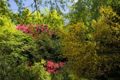 2013-06-07_4266.jpg