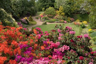 The Quarry Garden