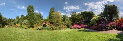 2013-06-07_4343_stitch.jpg