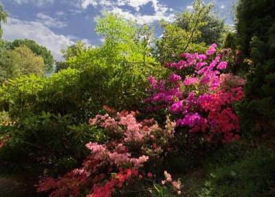 2013-06-07_4403.jpg