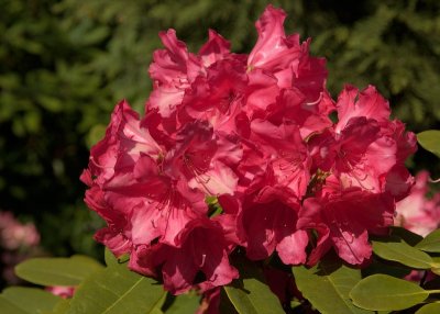 2013-06-07_4411.jpg