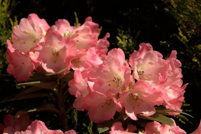 2013-06-07_4412.jpg