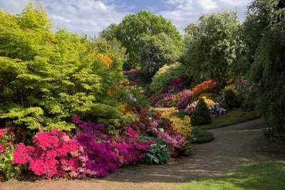The Quarry Garden
