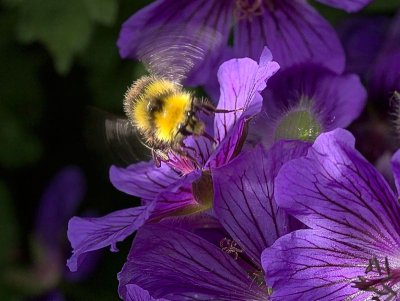 2013-06-17_4477.jpg