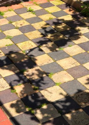 2013-07-09_4873.jpg
