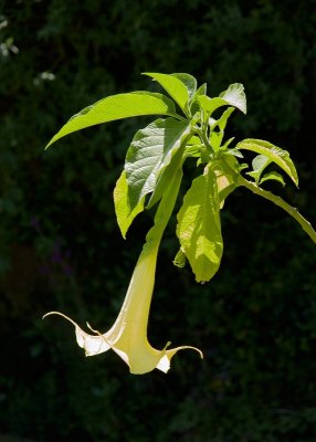 2013-07-09_4909.jpg