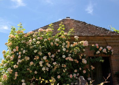 2013-07-09_4911.jpg