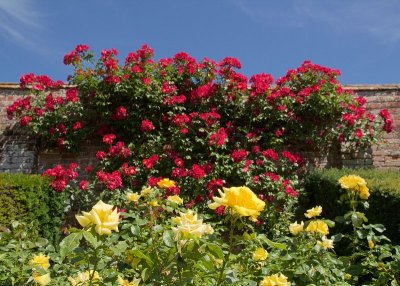 2013-07-09_4916.jpg