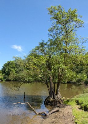 2013-07-09_4923.jpg