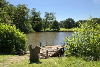 2013-07-09_4934.jpg