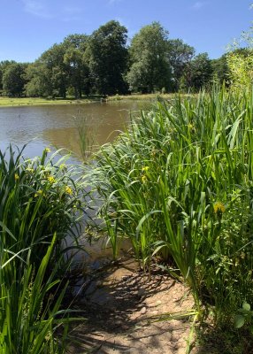 2013-07-09_4936.jpg