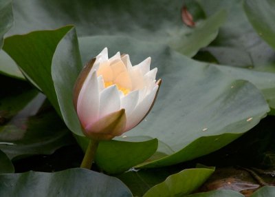 2013-08-15_5422.jpg