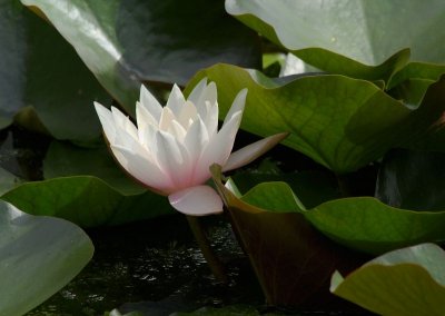 2013-08-15_5424.jpg