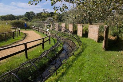 Abbotsbury Swannery