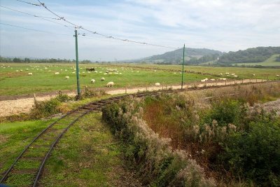 Seaton Electric Tramway