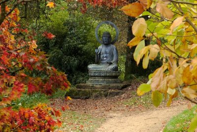 Batsford Arboretum - Autumn 2013