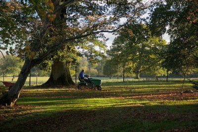 Batsford Arboretum - Autumn 2013