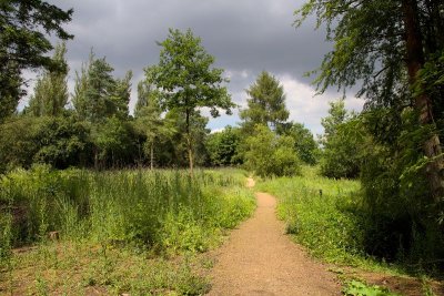 2014-07-09_8247.jpg