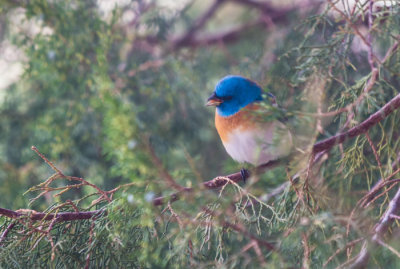 20121019-ynp-5-22-13-53.jpg