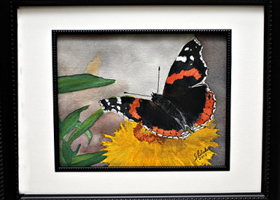 Sandys Red Admiral-s- Butterfly.jpg